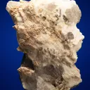 Quartz var. Smoky with Albite - image 4