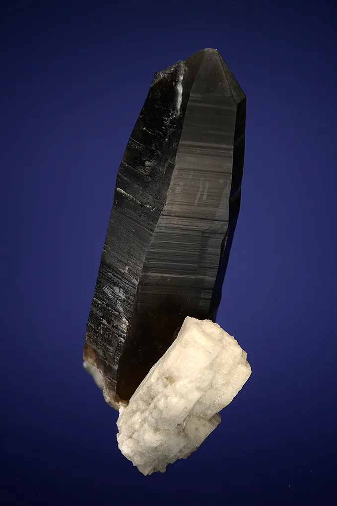 Quartz var. Smoky with Albite - image 3