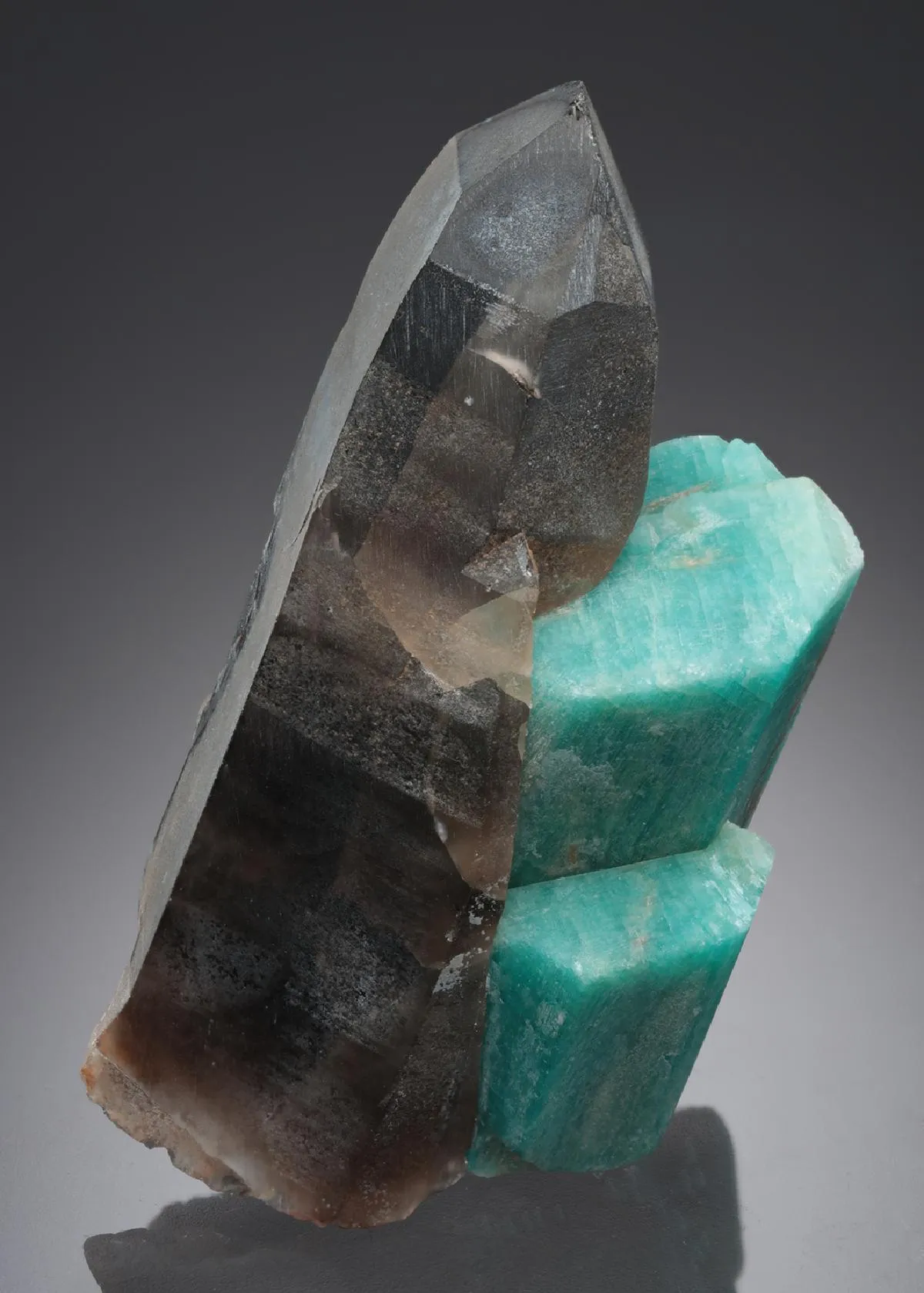 Quartz var. Smoky with Microcline var. Amazonite - image 1