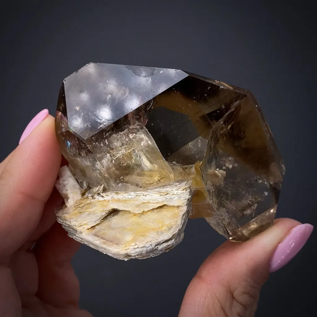 Quartz var. Smoky with Muscovite image