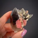 Quartz var. Smoky with Rhodochrosite & Bertrandite - image 2