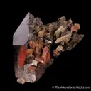 Quartz var. Smoky with Rhodochrosite & Bertrandite - image 4