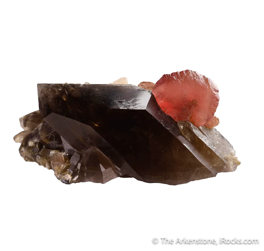 Quartz var. Smoky with Rhodochrosite & Bertrandite image