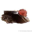 Quartz var. Smoky with Rhodochrosite & Bertrandite - image 1