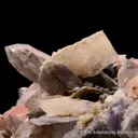 Quartz var. Smoky with Rhodochrosite & Bertrandite - image 6