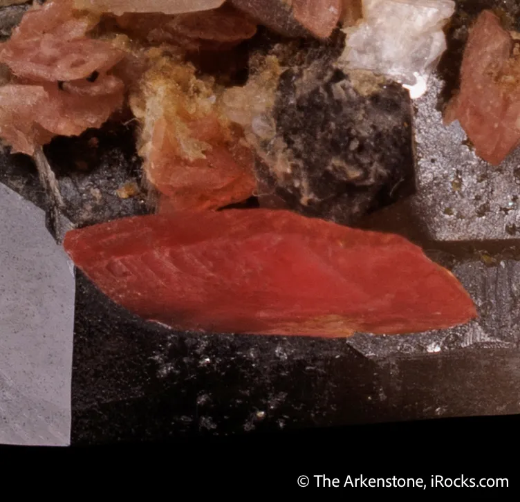 Quartz var. Smoky with Rhodochrosite & Bertrandite - image 7