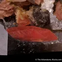 Quartz var. Smoky with Rhodochrosite & Bertrandite - image 7