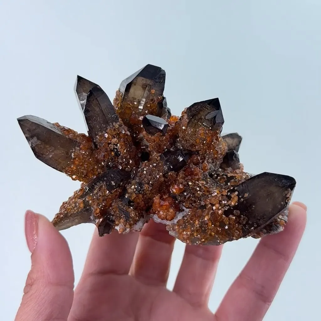 Quartz var. Smoky with Spessartine Garnet image