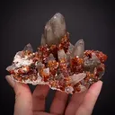 Quartz var. Smoky with Spessartine Garnet - image 1