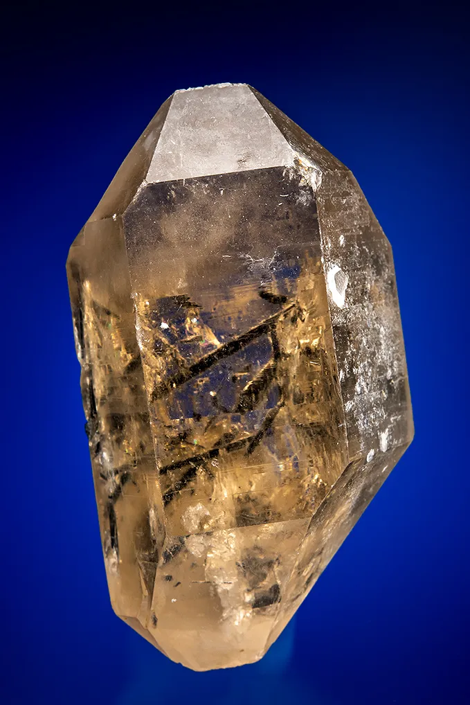 Quartz var. Smoky with Tourmaline image