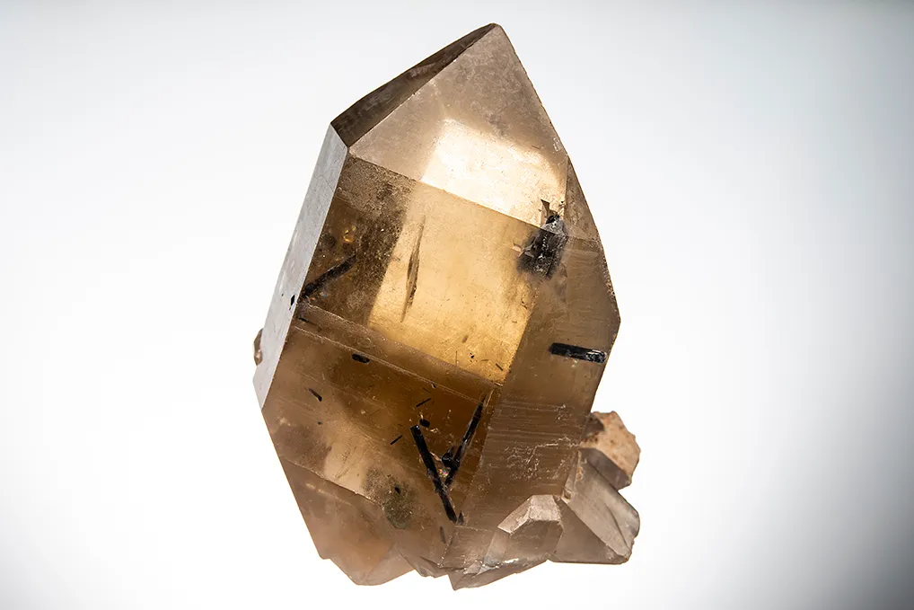 Quartz var. Smoky with Tourmaline inclusion image