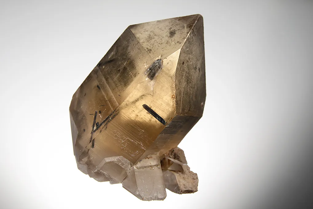 Quartz var. Smoky with Tourmaline inclusion - image 3