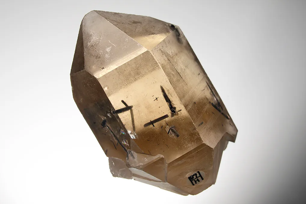 Quartz var. Smoky with Tourmaline inclusion - image 5