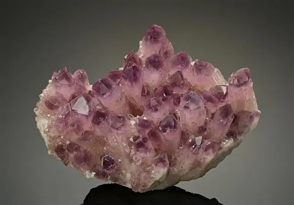 Quartz variety Amethyst image