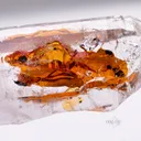 Quartz w/ Petroleum Inclusions - image 2