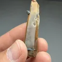 Quartz with Aegirine - image 2