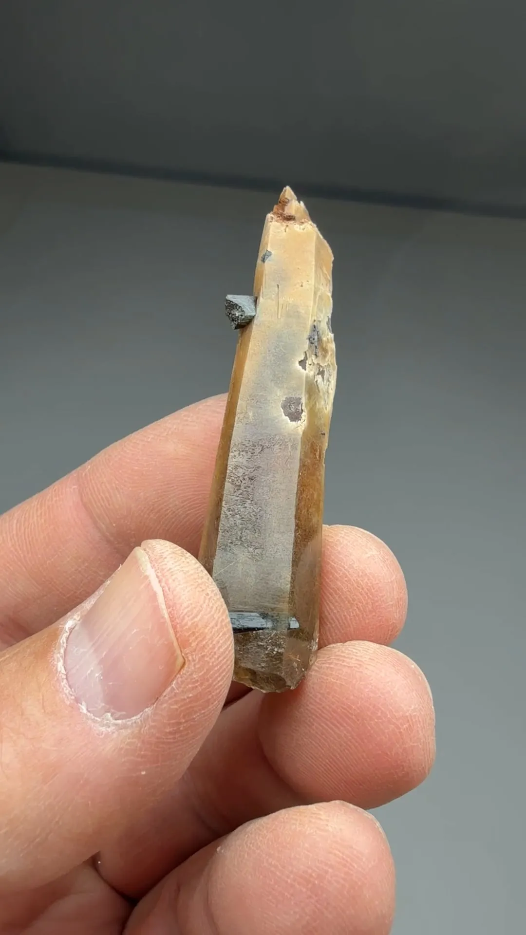 Quartz with Aegirine - image 2