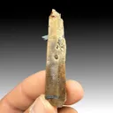 Quartz with Aegirine - image 1