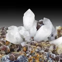 Quartz with Andradite - image 1