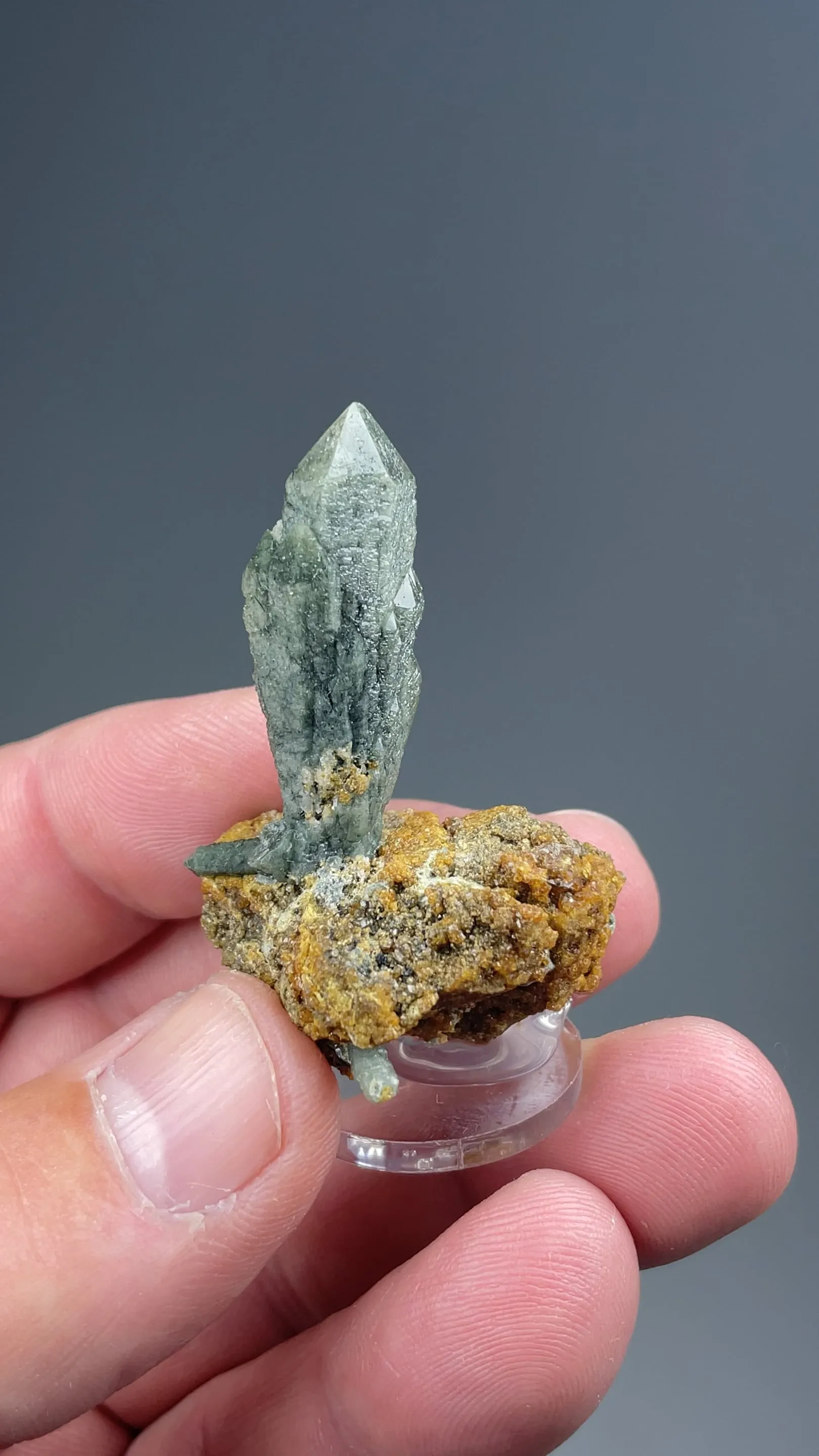 Quartz with Andradite - image 2