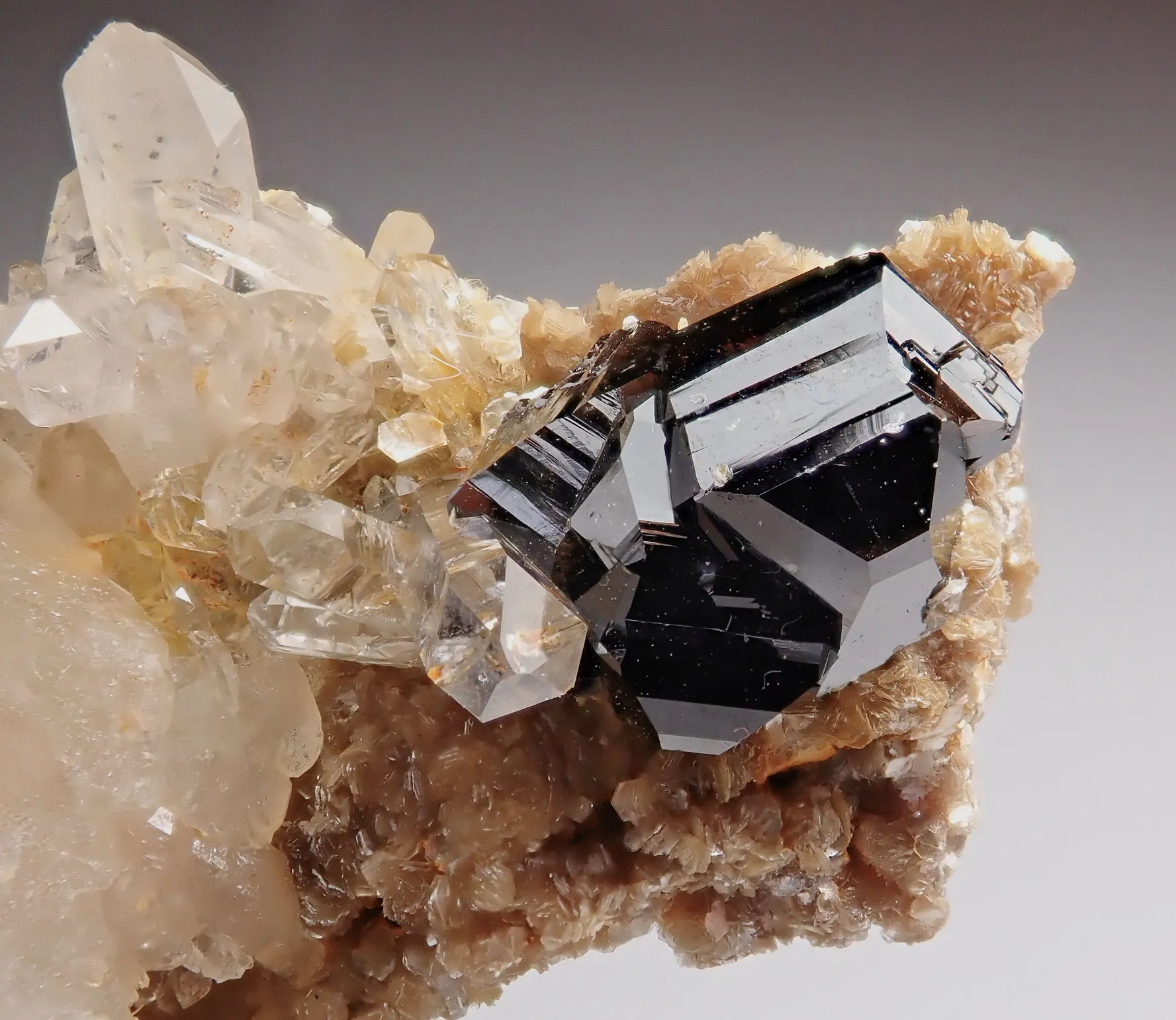Quartz with Cassiterite - image 4