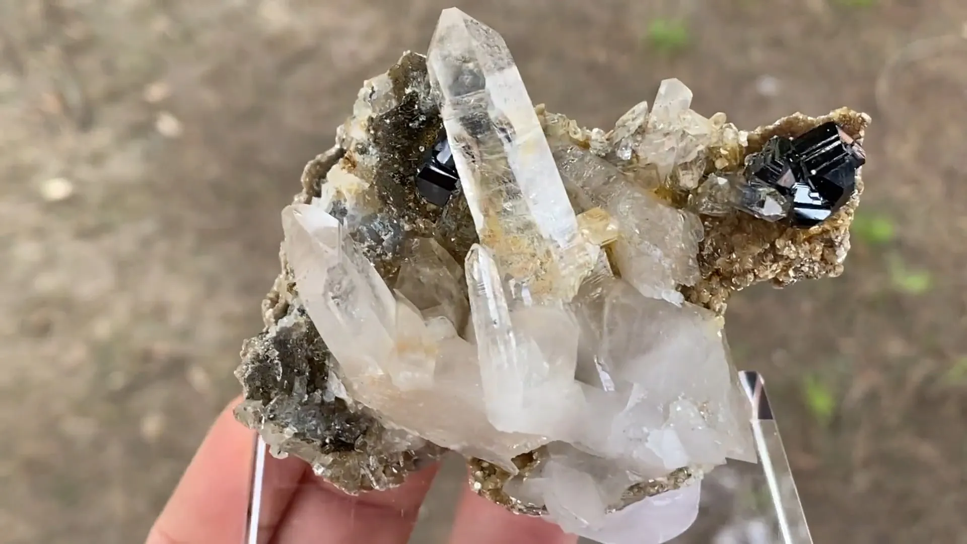 Quartz with Cassiterite - image 6