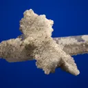 Quartz with Chalcopyrite, Calcite and Dolomite - image 4