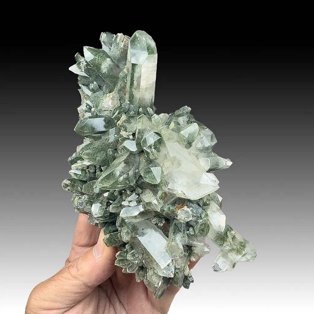 Quartz with Chlorite image