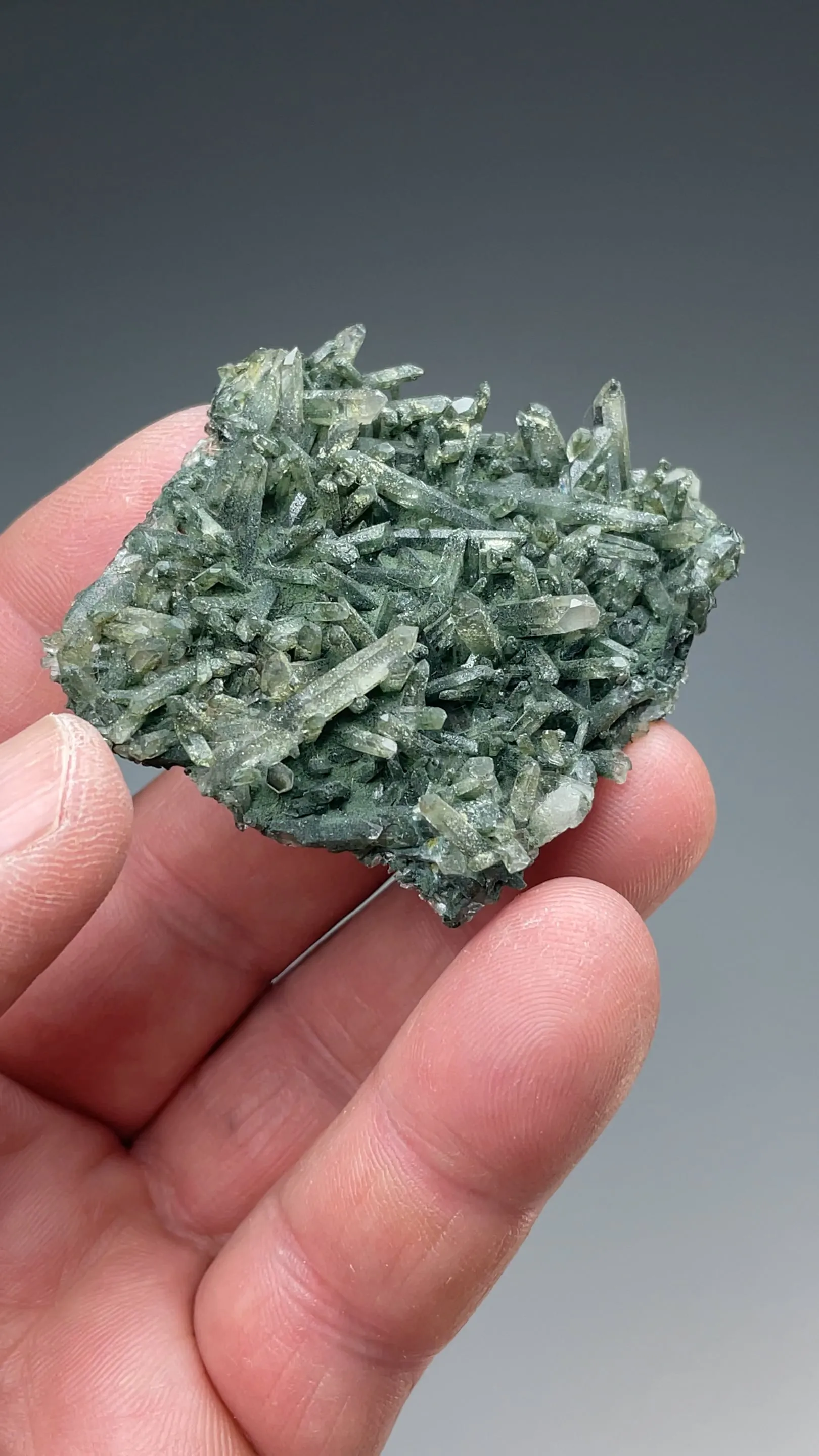 Quartz with Chlorite - image 2