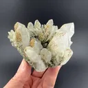 Quartz with Chlorite, Rhodochrosite - image 1