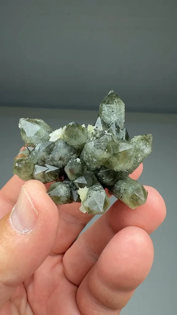 Quartz with Chlorite (SA-015) image