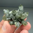 Quartz with Chlorite (SA-015) - image 1