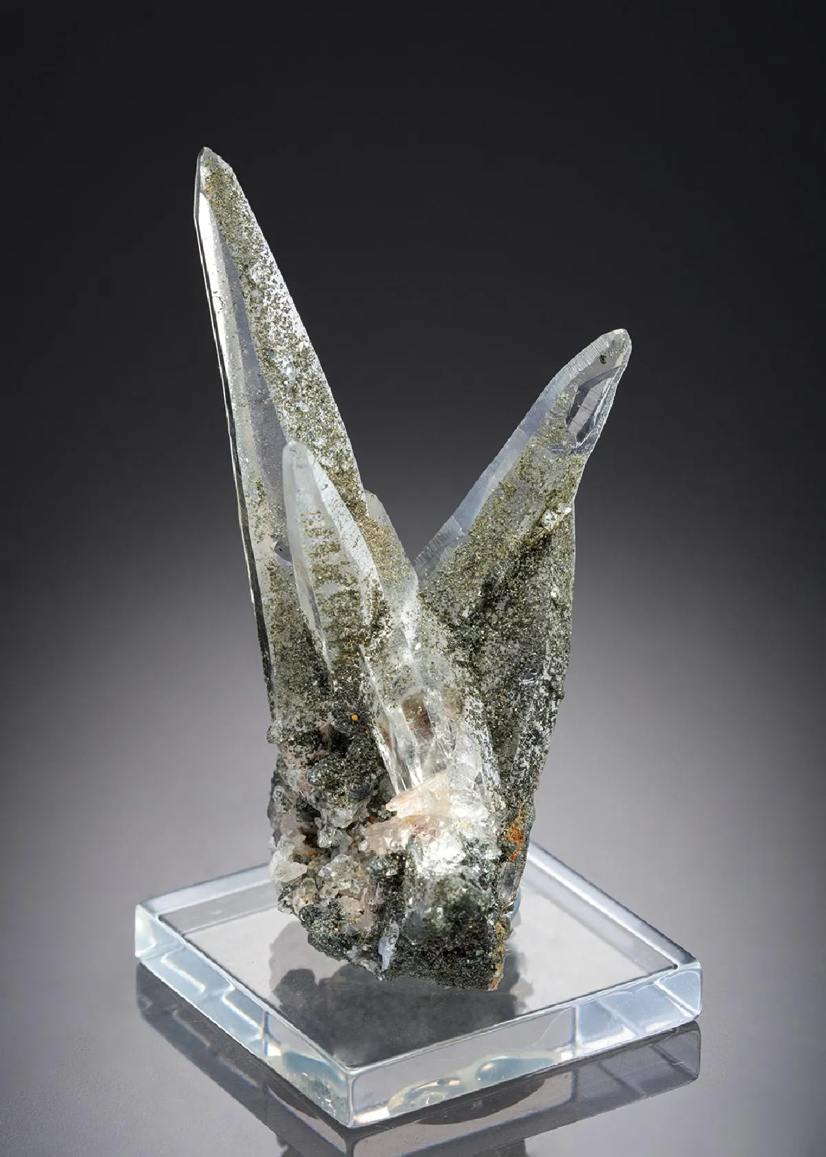 Quartz with Chlorite Tessiner Habit - image 1