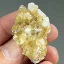Quartz with Danburite - image 2