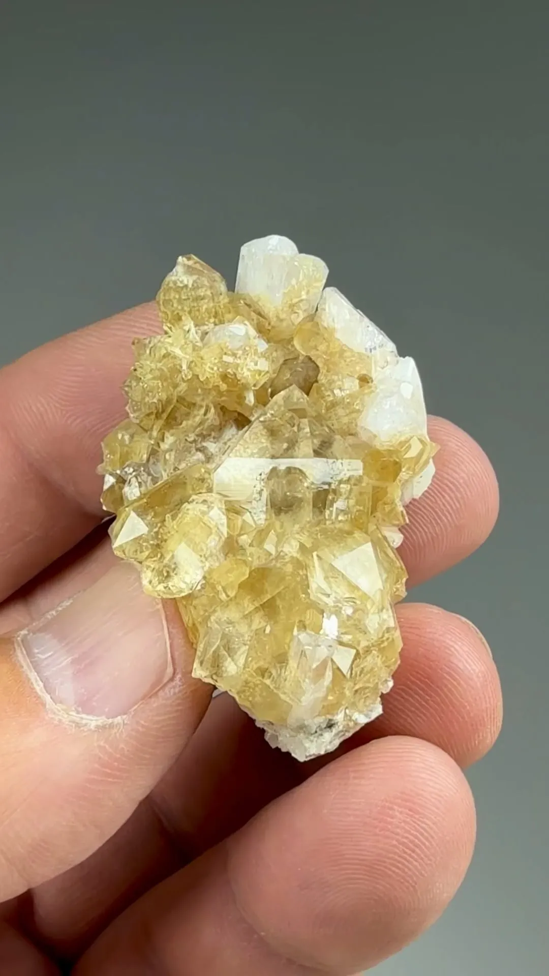 Quartz with Danburite - image 2