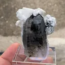 Quartz with Dolomite and Dravite inclusions - image 5