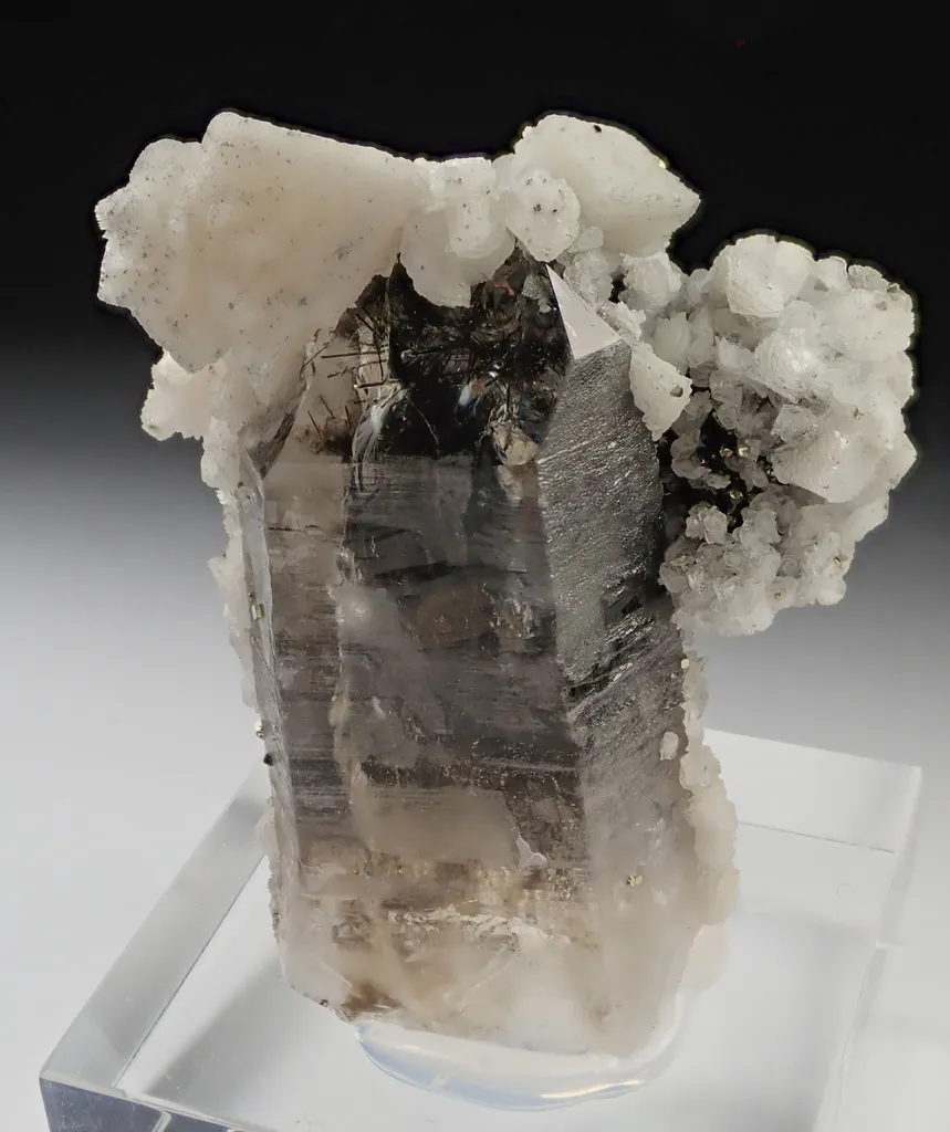 Quartz with Dolomite and Dravite inclusions image