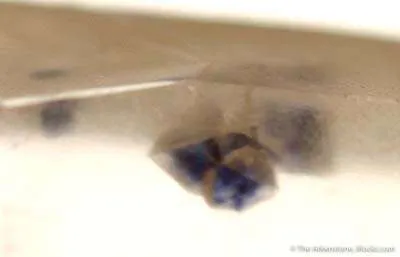 Quartz With Fluorite Inclusions - image 2