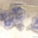 Quartz With Fluorite Inclusions - image 2