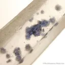 Quartz With Fluorite Inclusions - image 2