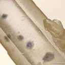 Quartz With Fluorite Inclusions - image 2