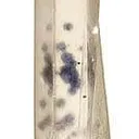 Quartz With Fluorite Inclusions - image 1