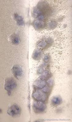 Quartz With Fluorite Inclusions - image 2