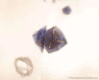 Quartz With Fluorite Inclusions - image 3