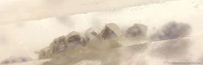 Quartz With Fluorite Inclusions - image 2