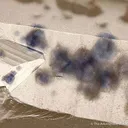Quartz With Fluorite Inclusions - image 3