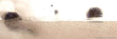 Quartz With Fluorite Inclusions - image 2