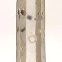 Quartz With Fluorite Inclusions - image 1