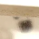 Quartz With Fluorite Inclusions - image 2