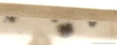 Quartz With Fluorite Inclusions - image 2